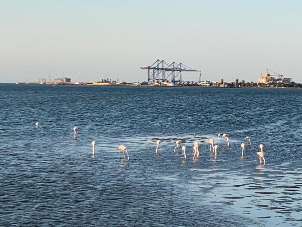 Mukulela Bed & Breakfast Walvis Bay Luaran gambar